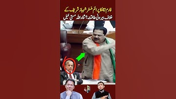 Is Form 47 a foreign power against PM Shehbaz Sharif? Sanaullah Mastikhel #imrankhan #pti #shorts