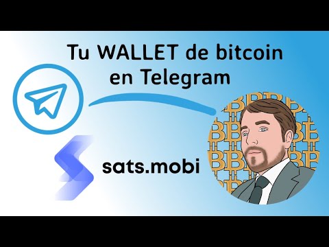 Cos'è il Supporto Daytonaspin su Telegram e Come Accedervi