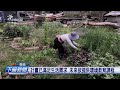 嘉義地區環保活動