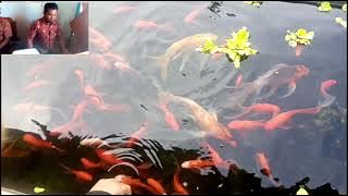 Lagu Rohani Aku Berjanji Padamu Tuhan