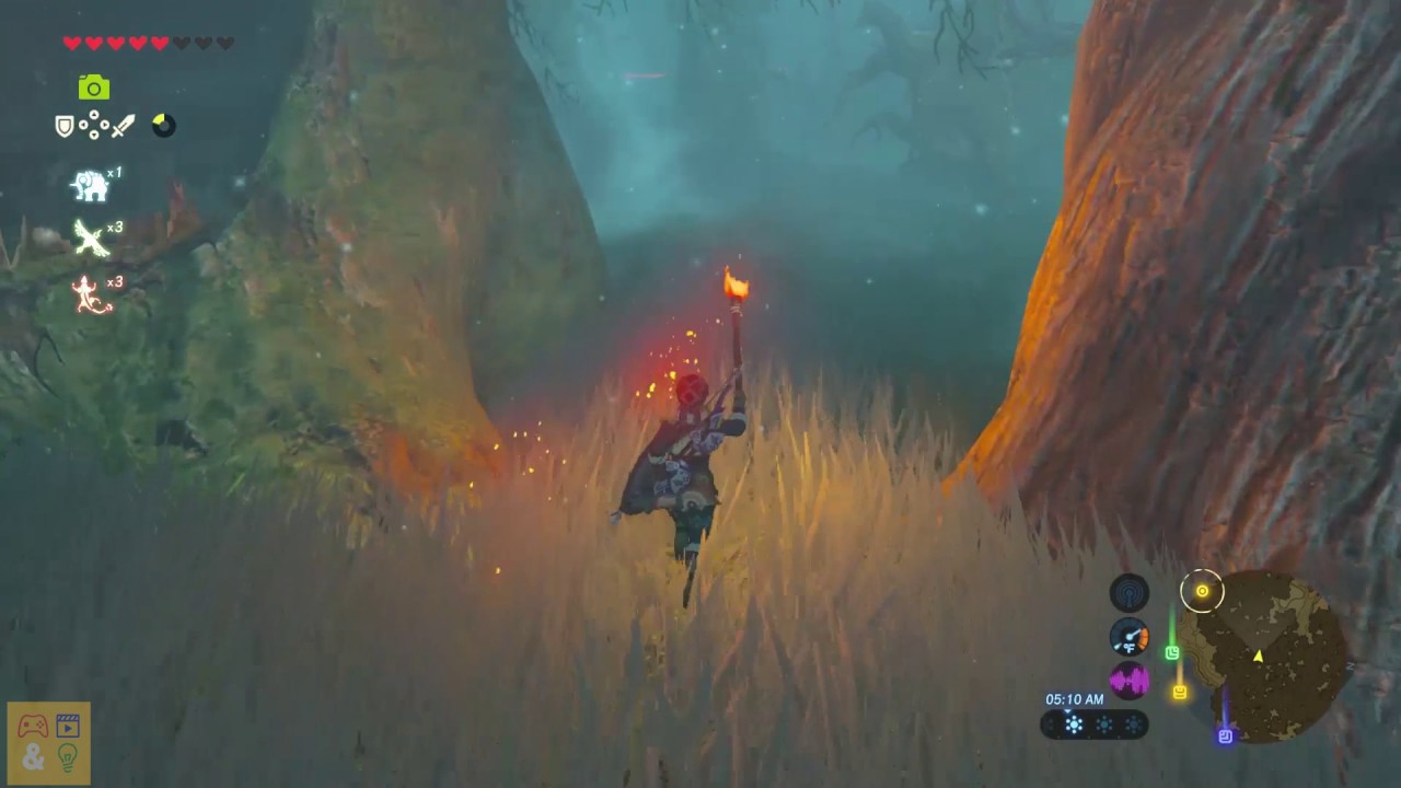 Zelda Breath Of The Wild How To Navigate The Lost Woods And Get The Master Sword Youtube