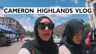 CAMERON HIGHLANDS VLOG | Camrun Marathon + Makan Nasi Lemak Strawberry 🍓 | Fangten