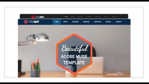 Fireant - Multipurpose One Page Muse Template - Muse Templates Download