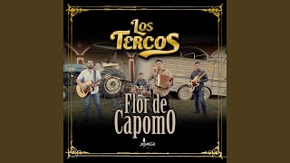 Flor de Capomo - Los Tercos