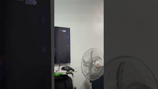 Sabado Nights Movie Marathon