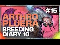 Finally Got the First Check! | ARK Breeding Series Day 10