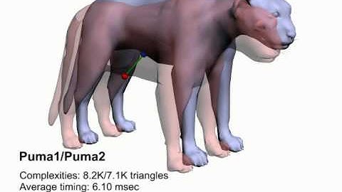 Interactive Hausdorff Distance Computation for General Polygonal Models