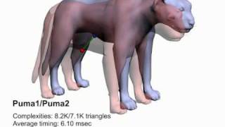 Interactive Hausdorff Distance Computation for General Polygonal Models