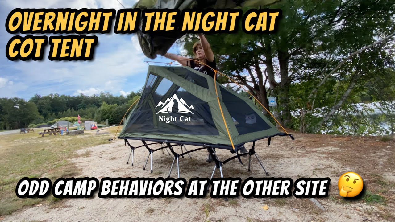 Ночной кемпинг в палатке/раскладушке для кошек | Странное поведение на другом участке | Небольшой...