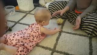 Infant Early Childhood Gross Motor Tummy Time Rolling Ball Activity