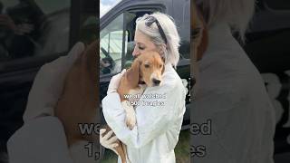 The Beagle Factory Everyone Should Be Talking About (Marshall BioResources)