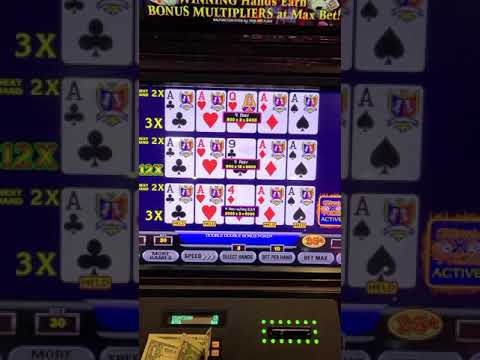 Conquestador Local casino Opinion: Slots Assortment, Put Tips and