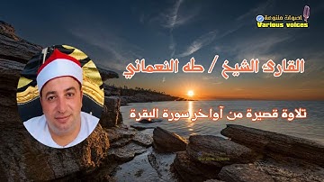 تلاوة قصيرة من سورة البقرة القارئ الشيخ طه النعماني