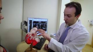 Dr. John O'Mara