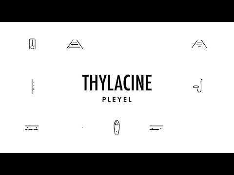 THYLACINE - Pleyel