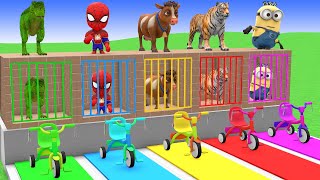 Long Slide Game with Cow Elephant Gorilla Hippopotamus Tiger 3d Animal Game Funny 3d Animals