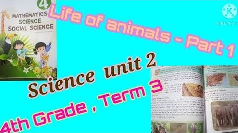 4 Grade,  Term 3  Science Unit  2 - Life of animals