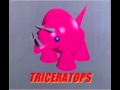 彼女のシニヨン TRICERATOPS コピーバンド