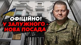 ⚡️Екстрено! Зеленський ЗВІЛЬНИВ Залужного з АРМІЇ. Генерал ВЖЕ на НОВІЙ ПОСАДІ. Є УКАЗ