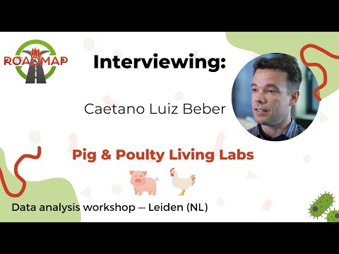 ROADMAP Interviewing CAETANO LUIZ BEBER — Pig & Poultry Living Labs in Italy — Workshop in Leiden