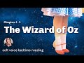 Bedtime story for grown-ups (music) WIZARD OF OZ (chapters 1 -3) soothing female voice for sleep