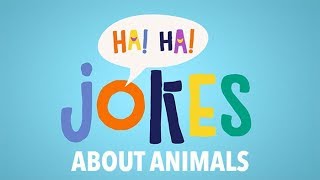 Jokes About Animals