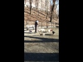 I WITH PETS HOLISTIC PARADISE TRIBE NEW YORK SPRING 2015