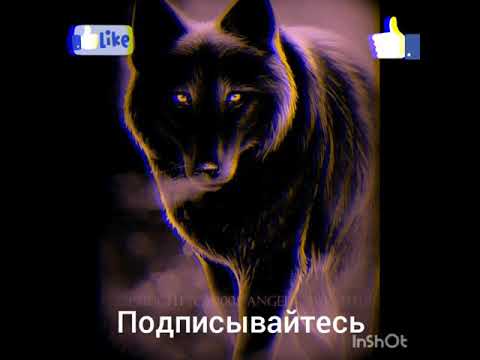 23 января 2020