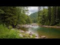 Flowing River Water 🌊 Gentle Stream Sound for Sleep, Focus, and Relaxation #668