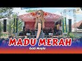 Gati meyla  madu merah   new dhesta music  live pemuda arwin tapanrejo