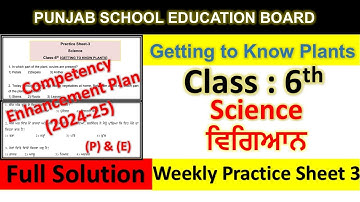 pseb competency based paper class 6th science worksheet 3 test 2024