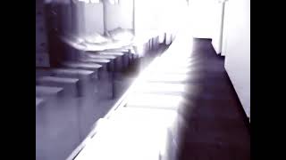 Domino PCs in Reverb