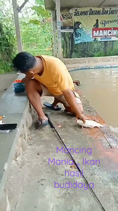 ikan tombro di Pemancingan dua bintang Magetan