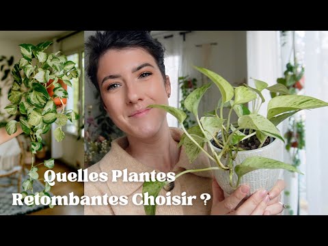 Vidéo: Amazing Houseplant Benefits - Pourquoi les plantes d'intérieur sont-elles bonnes pour nous