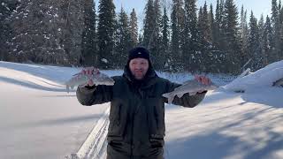 видео: Рыбалка На севере Пермского края (3 часть ) сезон 2023г. Щука, хариус, готовка еды на финской свече! картинка: Рыбалка На севере Пермского края (3 часть ) сезон 2023г. Щука, хариус, готовка еды на финской свече!