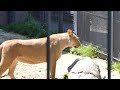 匂いチェック
