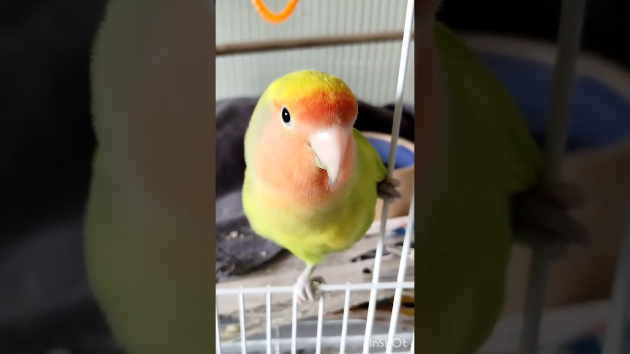 GET ME OFF THE CAMERA!! 😂 