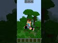 тайожный лес🎄 #shorts #рек #втоп #compot #fyr #мем #minecraft #актив #тренды #майнкрафт #компот