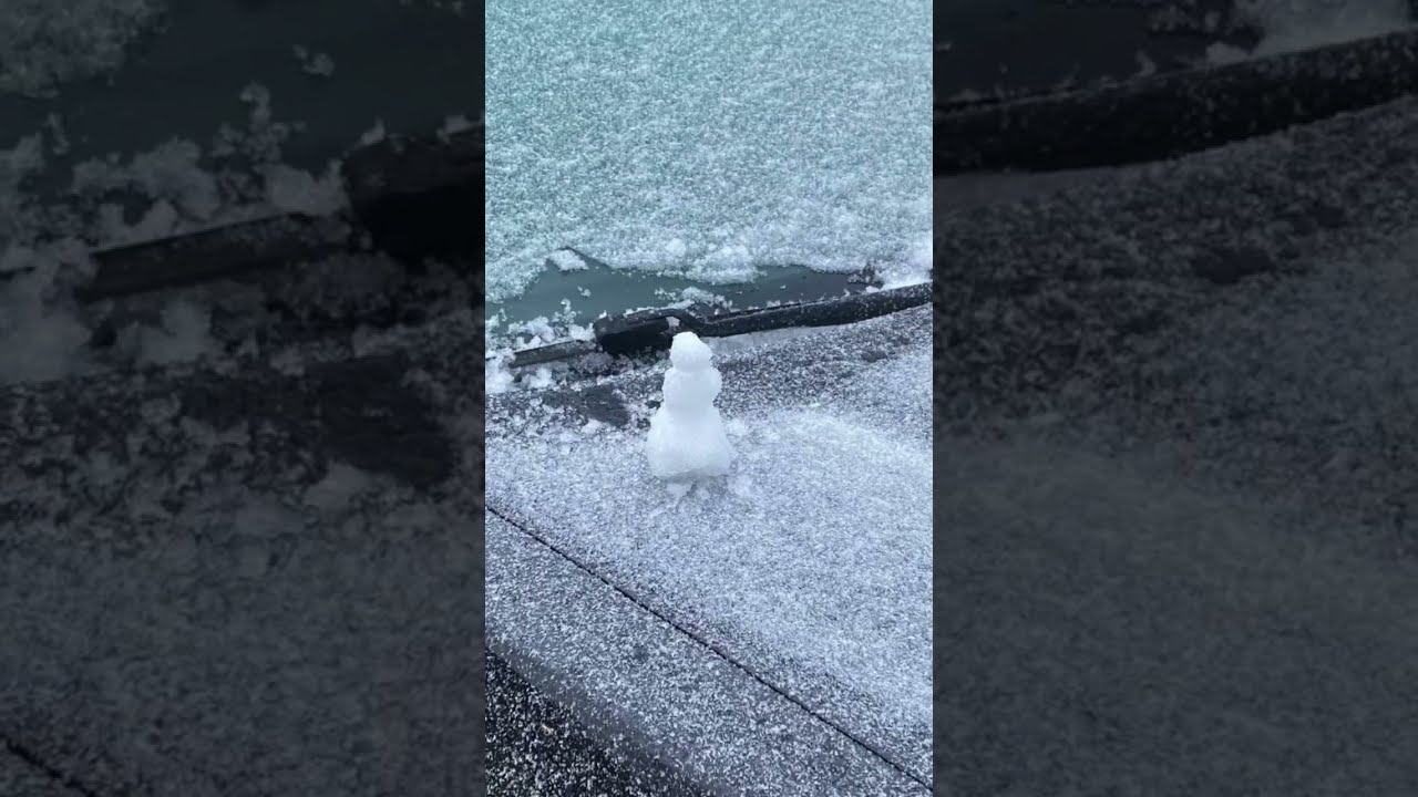 It Did Snow In Jacksonville, Florida 2025!