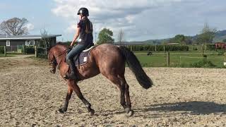 Red Flat work