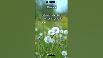 What is so fragile that saying its name breaks it?