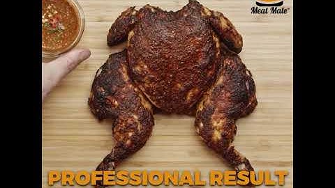 MEAT MATE™ THERMO PROBE SYSTEM