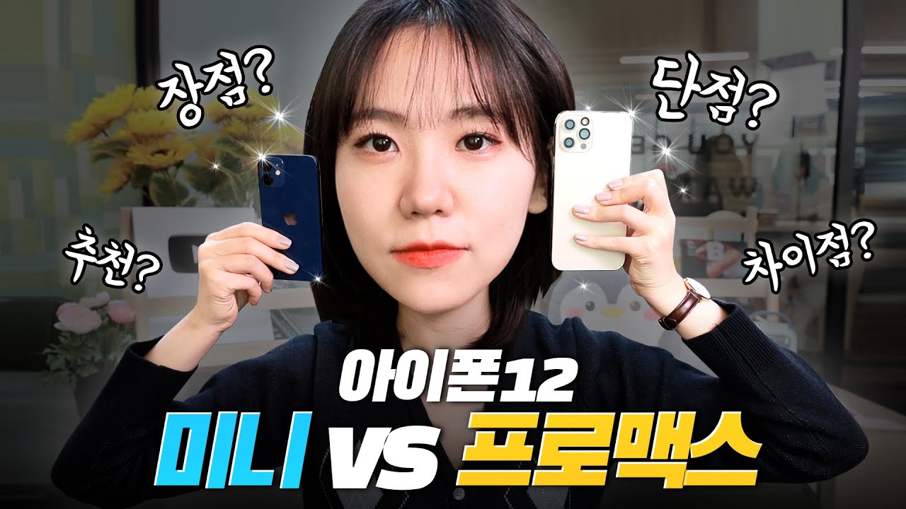 아이폰12 프로맥스 유저가 한달간 써본 아이폰12 미니 리뷰❣ 이런 사람한테 추천!