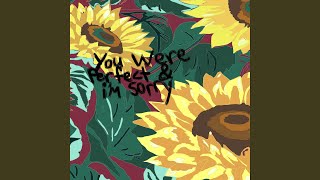 You Were Perfect & I'm Sorry