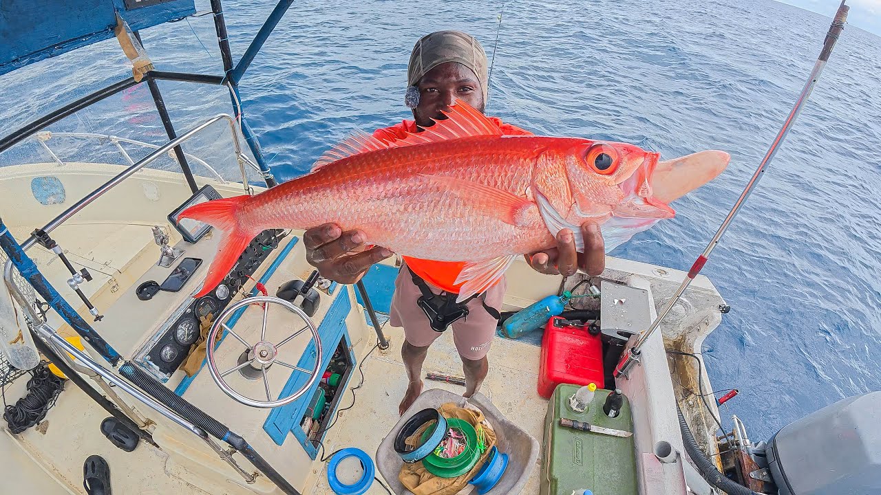 Massive Queen Snapper Join Us On The Boat Today While Deep Sea Fishing ...