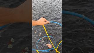 Would You Consider This Fishing?