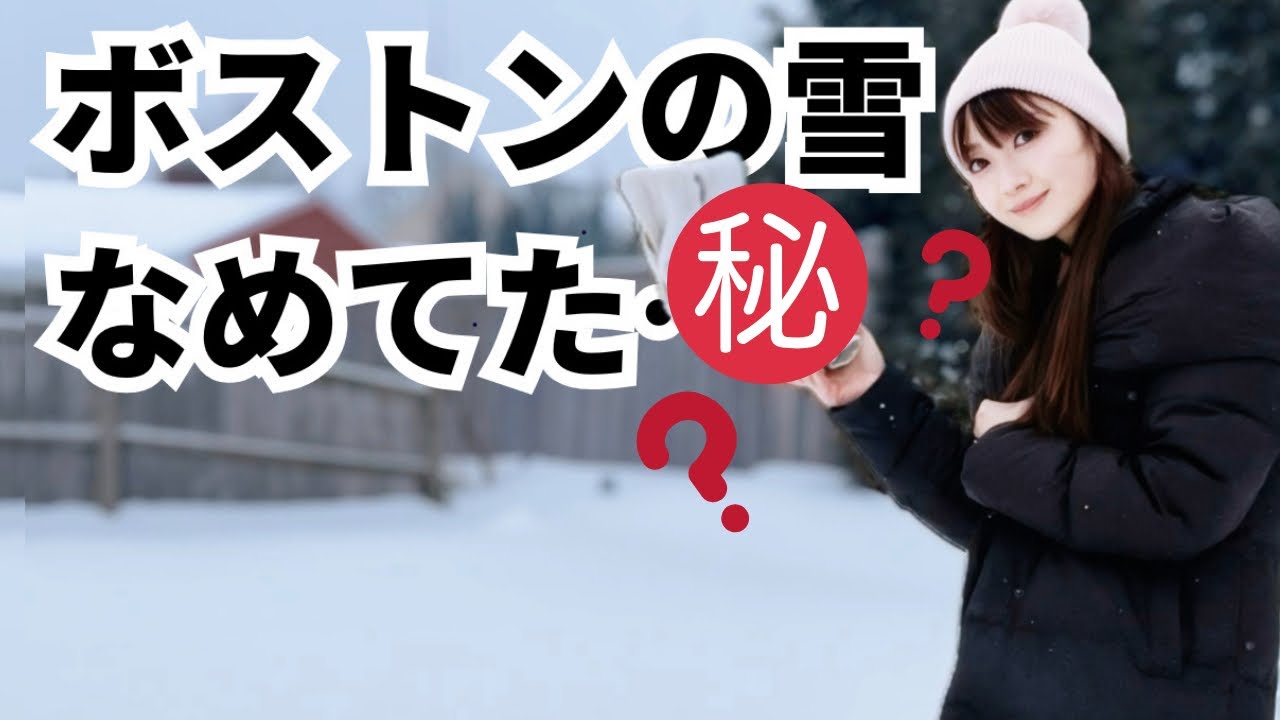 🇺🇸歴史的豪雪！ボストン本気の雪に腰抜かしました