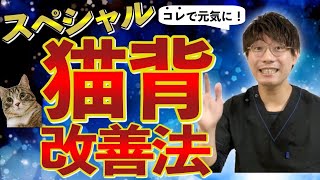 【やってみて】これだけで即効果！元気になる猫背改善エクササイズ