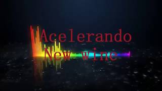 Video thumbnail of "ACELERANDO - NEW WINE -  LETRA"