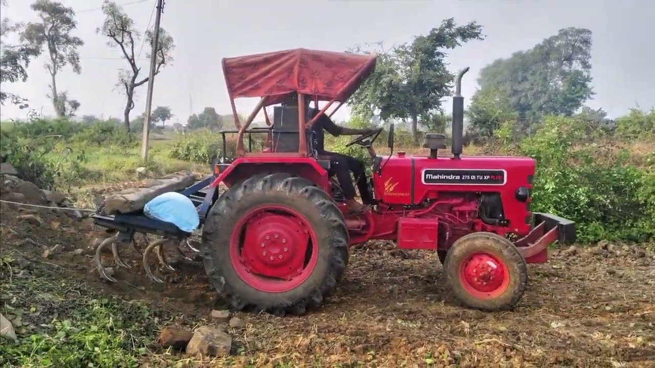 Sher ki power🦁🦁